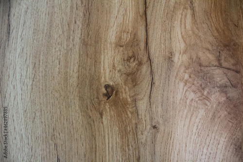Wildeiche Holzstruktur