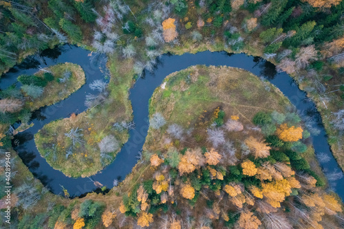 Foto The river in the forest in the form of Yin and Yang loops