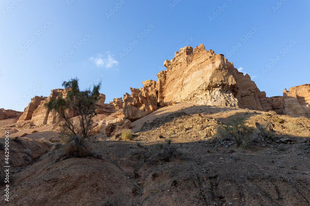 Charyn canyon is a canyon on the Sharyn River in Kazakhstan. Apart from the Ash Tree, other tree categories in the area include the willow, poplar, and barberry. Charyn National Park.