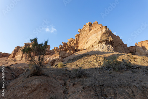 Charyn canyon is a canyon on the Sharyn River in Kazakhstan. Apart from the Ash Tree  other tree categories in the area include the willow  poplar  and barberry. Charyn National Park.
