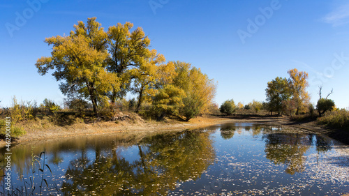 Autumn landscape with colorful forest. Solar amber paysage. Indian summer landscape. Colorful foliage over lake with beautiful woods in red and yellow color. Autumnal forest reflected in water.