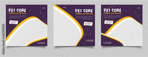 Pet care for social media post