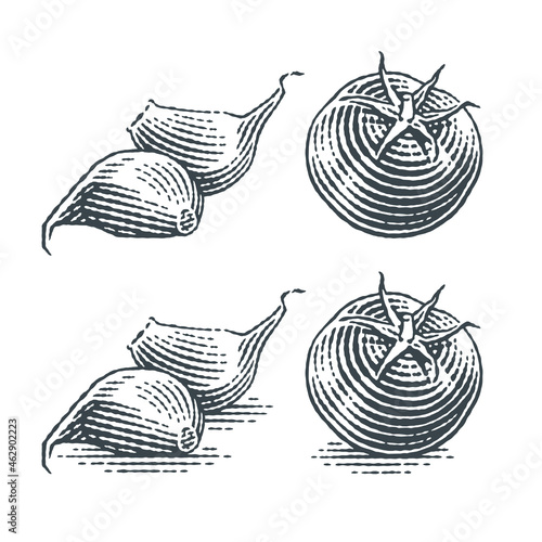 Cherry tomatoes and garlic cloves. Hand drawn engraving style illustrations. Vector vintage illustration.