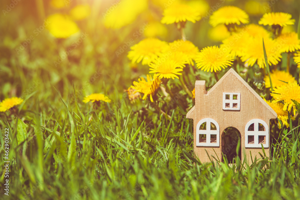 The symbol of the house stands among the yellow dandelions
The symbol of the house stands among the yellow dandelions