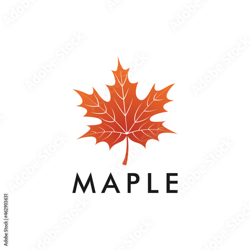 Maple Leaf Logo Design Template