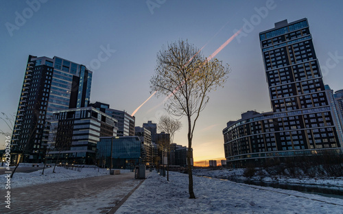 modern buildings and trees at sunrise photo