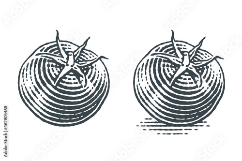 Tomatoes, cherry tomatoes. Hand drawn engraving style illustrations. Vector retro illustration.