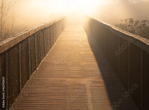 Fototapeta Naklejka Na Ścianę i Meble -  Wooden boardwalk path in thick early morning fog at Dixon Meadow Preserve, Pennsylvania, USA
