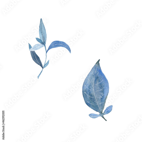 Paint of watercolor blue leave on background. Paint watercolor texture. Botanical art. Use for design invitations, birthdays, weddings