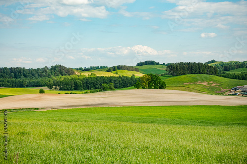 pole pola wieś wioska sielsko farma obszar wiejski pastwisko zielono podlasie suwalszczyzna