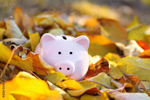 .Pink piggy Bank in autumn leaves on the ground. Banking concept in autumn time