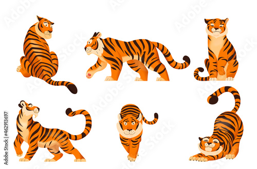 Tigers Flat Set