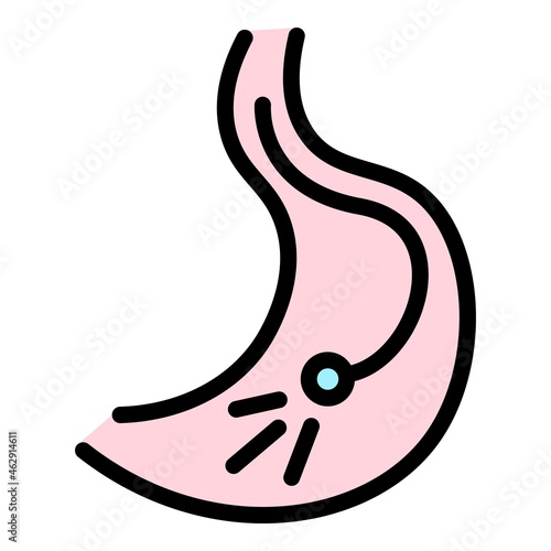 Endoscopy icon. Outline endoscopy vector icon color flat isolated