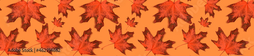 Autumn pattern for design. Panorama pattern red maple leaf autumn on orange b...