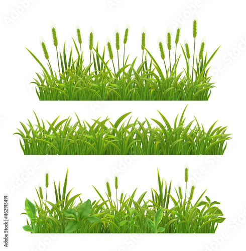 Grass Leaves Realistic Banners