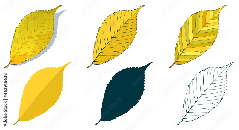 Obraz premium Hand-drawn elm leaf in autumn color isolated on white background. Cartoon flat style vector illustration.