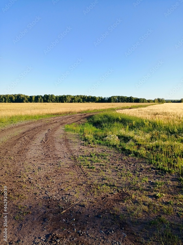 road in the field