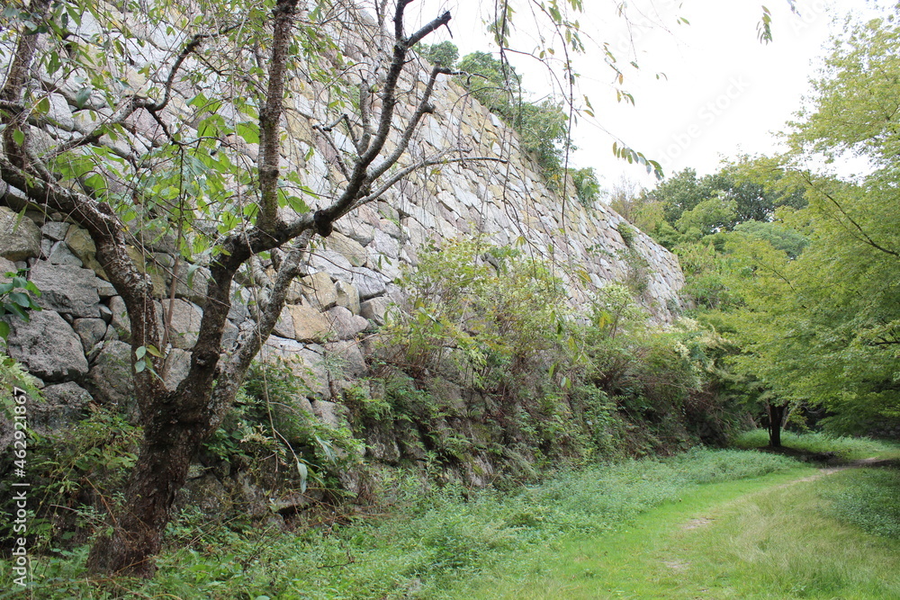 自然に還りつつある石垣
Ishigaki(Stone wall)that is returning to nature 自然に還りつつある石垣
Ishigaki(Stone wall)that is returning to nature