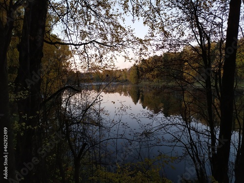 reflection of trees in the calm river water insunny autumn evening photo