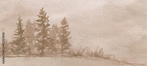 Watercolor drawing of pines and fir trees forest in natural sepia color. Beautiful landscape picture for design.
