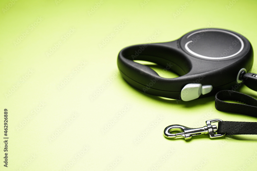Black retractable dog leash on a light green background, space for text. Black retractable dog leash on a light green background, space for text.