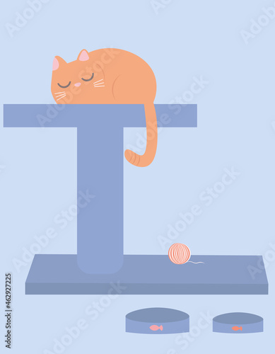 Funny kitten sleeps on a scratching post. Furniture for the convenience of a pet