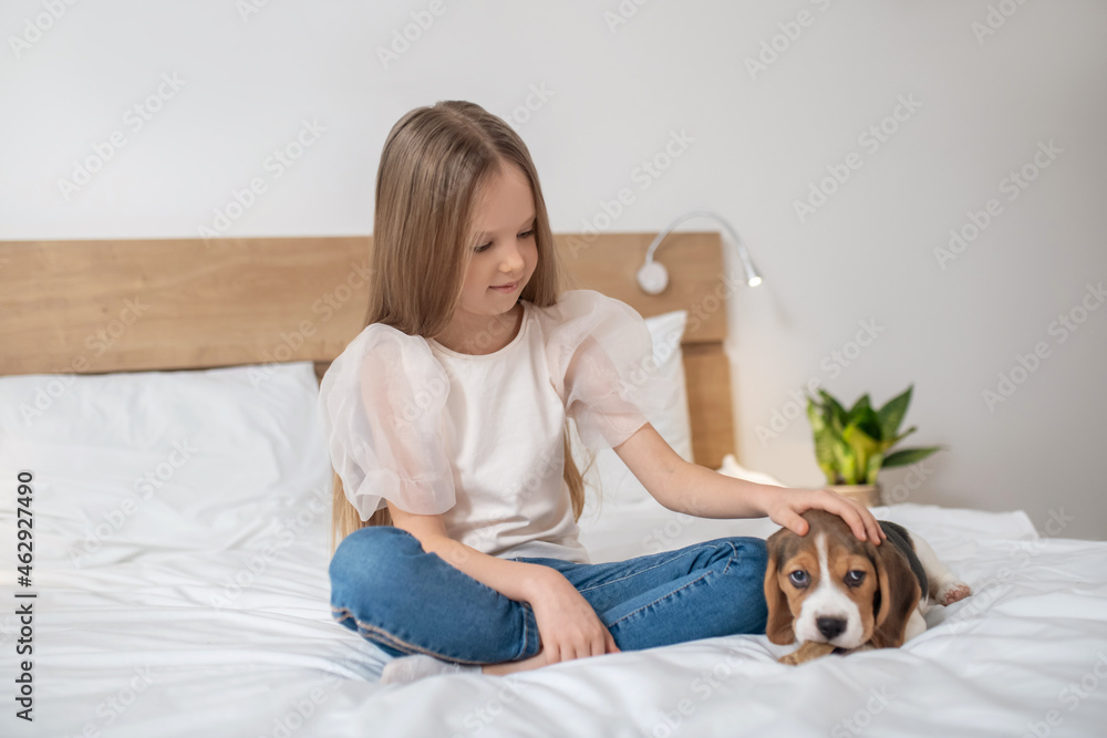 Sweet girl sitting on bed and playing with her puppy Sweet girl sitting on bed and playing with her puppy