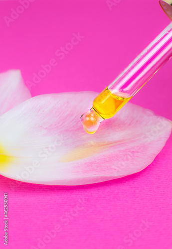 Cosmetic oil with a pipette on a pink background. Close up liquid drop dripping on Petal from a pink tulip flower. Beauty  medicine and  health care concept. Macro photo. Natural  eco cosmetics.