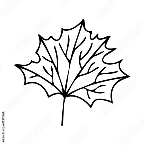 Isolated vector set of autumn leaves bouquet lined silhouettes in black and white