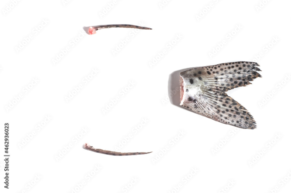 painted fish syrup and painted fish stinger, white background painted fish syrup and painted fish stinger, white background