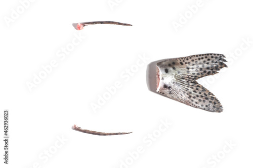 painted fish syrup and painted fish stinger, white background