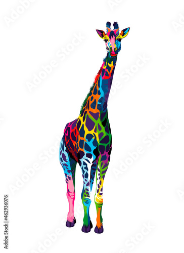 Giraffe from multicolored paints. Splash of watercolor, colored drawing, realistic. Vector illustration of paints