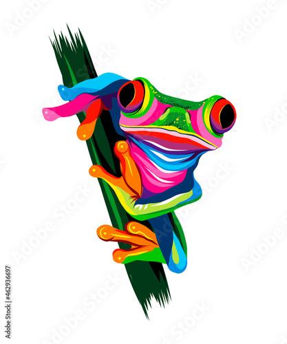 Tree frog from multicolored paints. Splash of watercolor, colored drawing, realistic. Vector illustration of paints