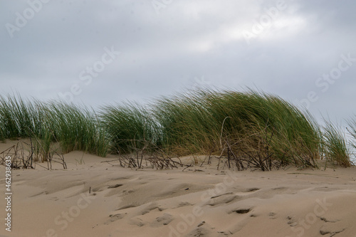 Die Ostfriesische Insel Borkum im Oktober mit Wegen durch die D  nenlandschaft. Dieser Teil der Insel geh  rt zum Nationalpark Wattenmeer.