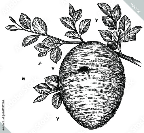 Engrave isolated honey hand drawn graphic illustration
