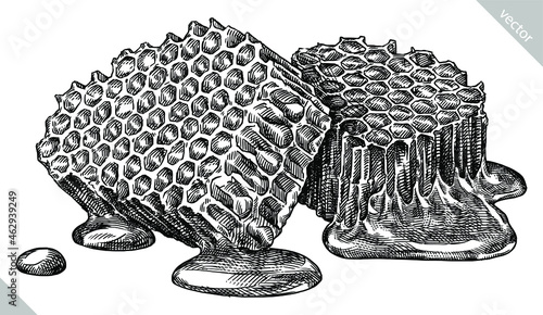 Engrave isolated honey hand drawn graphic illustration