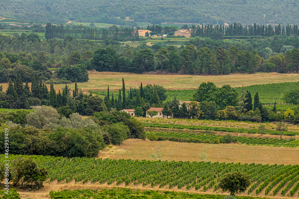 Classic French Provencal landscape, cypresses, houses with tiled roofs immersed in greenery, vineyards
