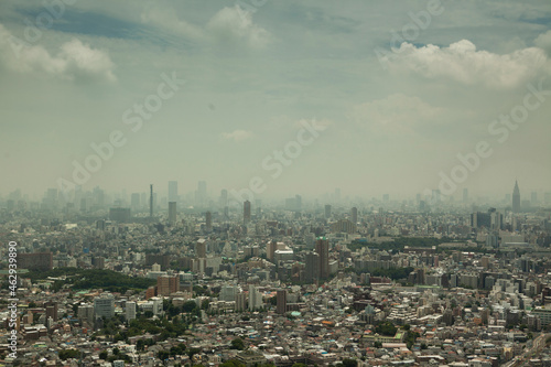 Tokyo Aerial View at daytime. High quality photo © Buonaventura