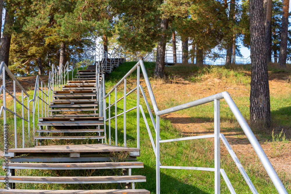 Wooden stairs up in a pine forest