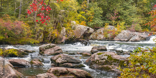 View of a stormy mountain river in September at the Wildcat Falls. Red autumn leaves hang over the river. Merrimack, New Hampshire, USA