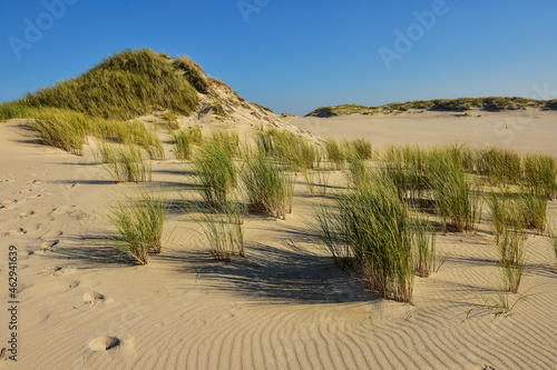 beautiful moving dunes, Leba in Poland