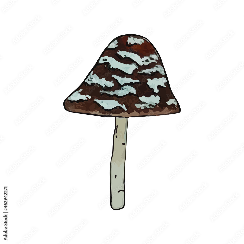 Mushrooms. Watercolor, hand-drawn illustration, isolated on a white background