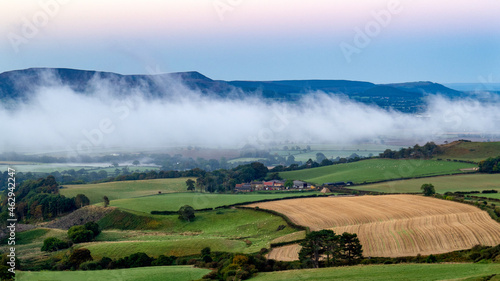 Fog in the Valley