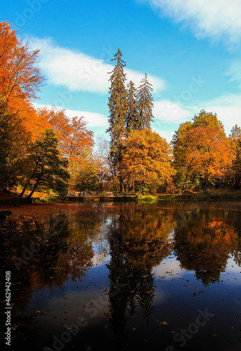 Herbst am See