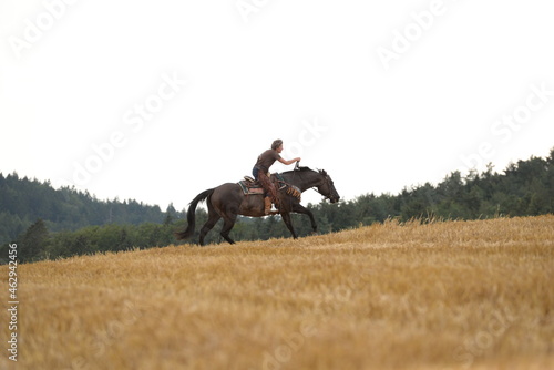 countrygirl. Frau galoppiert mit schwarzem Pferd über ein Stoppelfeld photo