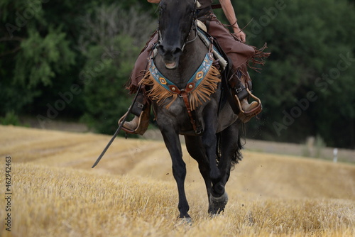 countrygirl. Frau galoppiert mit schwarzem Pferd über ein Stoppelfeld © Grubärin