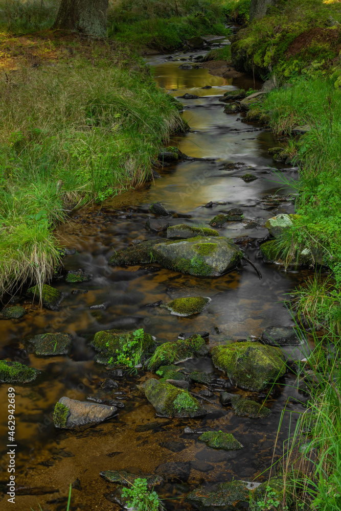 Tetrivci creek in Sumava national park in autumn day Tetrivci creek in Sumava national park in autumn day