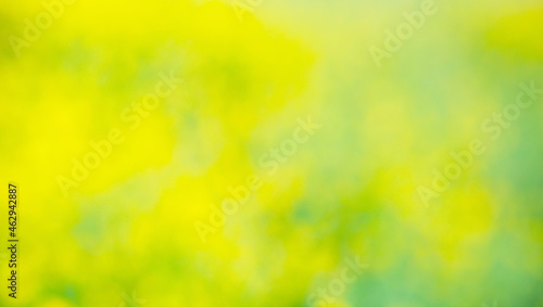  Abstract multicolored blurred background. Unfocused yelloe and green bokeh . Summer and spring natural meadow backdrop photo