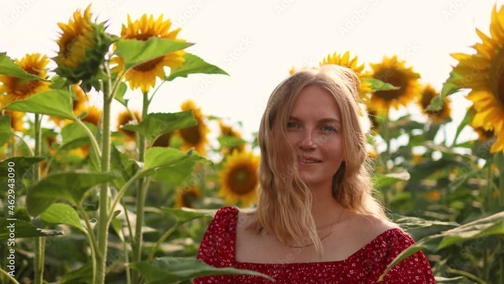 Happy Caucasian blond haired young woman enjoy in a sunflower garden, feeling free. Amazing big golden sunflowers field in the countryside Happy Caucasian blond haired young woman enjoy in a sunflower garden, feeling free. Amazing big golden sunflowers field in the countryside