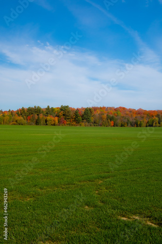 Fall colors in the Canadian countryside in the province of Quebec drone, wings, vehicle, pilot, aerial, technology, blue, transportation, air, fly, aviation, flight, sky, aircraft 